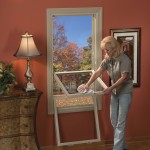 Woman cleaning Double Hung